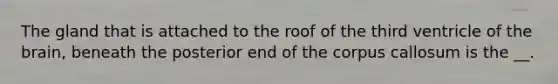 The gland that is attached to the roof of the third ventricle of the brain, beneath the posterior end of the corpus callosum is the __.