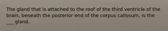 The gland that is attached to the roof of the third ventricle of the brain, beneath the posterior end of the corpus callosum, is the ___ gland.