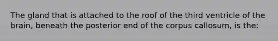 The gland that is attached to the roof of the third ventricle of the brain, beneath the posterior end of the corpus callosum, is the: