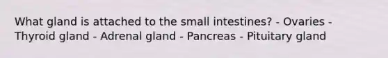 What gland is attached to <a href='https://www.questionai.com/knowledge/kt623fh5xn-the-small-intestine' class='anchor-knowledge'>the small intestine</a>s? - Ovaries - Thyroid gland - Adrenal gland - Pancreas - Pituitary gland