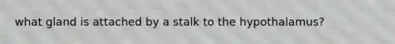 what gland is attached by a stalk to the hypothalamus?