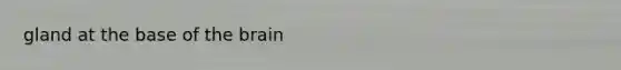 gland at the base of <a href='https://www.questionai.com/knowledge/kLMtJeqKp6-the-brain' class='anchor-knowledge'>the brain</a>