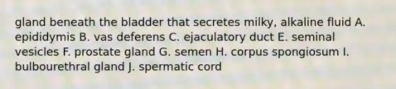 gland beneath the bladder that secretes milky, alkaline fluid A. epididymis B. vas deferens C. ejaculatory duct E. seminal vesicles F. prostate gland G. semen H. corpus spongiosum I. bulbourethral gland J. spermatic cord