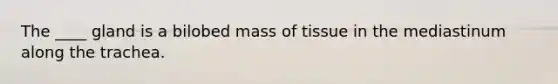 ​The ____ gland is a bilobed mass of tissue in the mediastinum along the trachea.