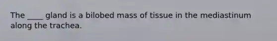 The ____ gland is a bilobed mass of tissue in the mediastinum along the trachea.