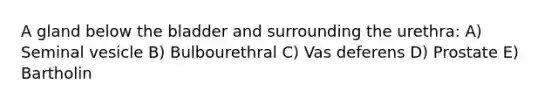 A gland below the bladder and surrounding the urethra: A) Seminal vesicle B) Bulbourethral C) Vas deferens D) Prostate E) Bartholin