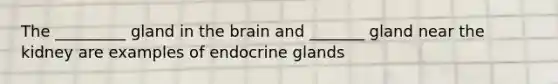 The _________ gland in the brain and _______ gland near the kidney are examples of endocrine glands