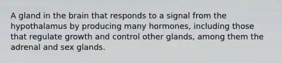 A gland in the brain that responds to a signal from the hypothalamus by producing many hormones, including those that regulate growth and control other glands, among them the adrenal and sex glands.