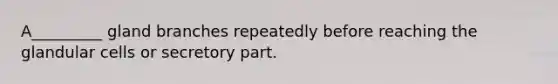A_________ gland branches repeatedly before reaching the glandular cells or secretory part.