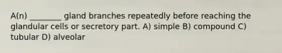 A(n) ________ gland branches repeatedly before reaching the glandular cells or secretory part. A) simple B) compound C) tubular D) alveolar
