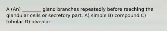 A (An) ________ gland branches repeatedly before reaching the glandular cells or secretory part. A) simple B) compound C) tubular D) alveolar