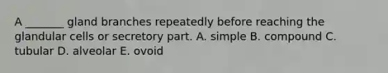 A _______ gland branches repeatedly before reaching the glandular cells or secretory part. A. simple B. compound C. tubular D. alveolar E. ovoid