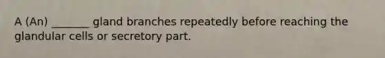 A (An) _______ gland branches repeatedly before reaching the glandular cells or secretory part.