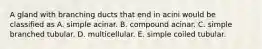 A gland with branching ducts that end in acini would be classified as A. simple acinar. B. compound acinar. C. simple branched tubular. D. multicellular. E. simple coiled tubular.