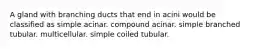 A gland with branching ducts that end in acini would be classified as simple acinar. compound acinar. simple branched tubular. multicellular. simple coiled tubular.