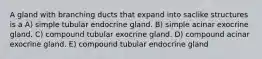 A gland with branching ducts that expand into saclike structures is a A) simple tubular endocrine gland. B) simple acinar exocrine gland. C) compound tubular exocrine gland. D) compound acinar exocrine gland. E) compound tubular endocrine gland