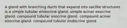 A gland with branching ducts that expand into saclike structures is a simple tubular endocrine gland. simple acinar exocrine gland. compound tubular exocrine gland. compound acinar exocrine gland. compound tubular endocrine gland.