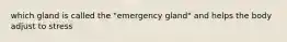 which gland is called the "emergency gland" and helps the body adjust to stress