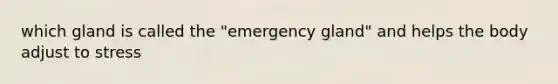 which gland is called the "emergency gland" and helps the body adjust to stress