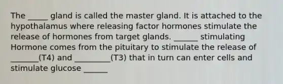 The _____ gland is called the master gland. It is attached to the hypothalamus where releasing factor hormones stimulate the release of hormones from target glands. ______ stimulating Hormone comes from the pituitary to stimulate the release of _______(T4) and _________(T3) that in turn can enter cells and stimulate glucose ______