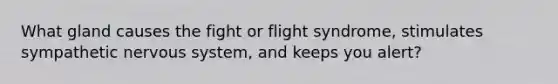 What gland causes the fight or flight syndrome, stimulates sympathetic nervous system, and keeps you alert?