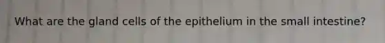 What are the gland cells of the epithelium in the small intestine?