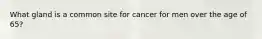 What gland is a common site for cancer for men over the age of 65?