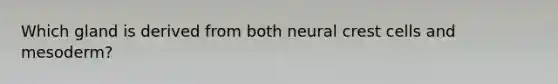 Which gland is derived from both neural crest cells and mesoderm?