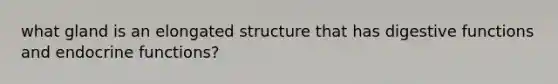 what gland is an elongated structure that has digestive functions and endocrine functions?