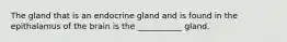 The gland that is an endocrine gland and is found in the epithalamus of the brain is the ___________ gland.