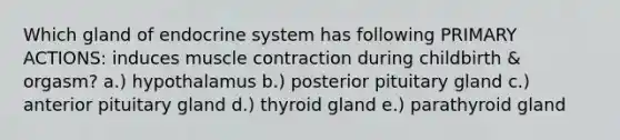 Which gland of endocrine system has following PRIMARY ACTIONS: induces muscle contraction during childbirth & orgasm? a.) hypothalamus b.) posterior pituitary gland c.) anterior pituitary gland d.) thyroid gland e.) parathyroid gland