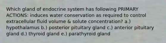 Which gland of <a href='https://www.questionai.com/knowledge/k97r8ZsIZg-endocrine-system' class='anchor-knowledge'>endocrine system</a> has following PRIMARY ACTIONS: induces water conservation as required to control extracellular fluid volume & solute concentration? a.) hypothalamus b.) posterior pituitary gland c.) anterior pituitary gland d.) thyroid gland e.) parathyroid gland