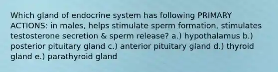 Which gland of endocrine system has following PRIMARY ACTIONS: in males, helps stimulate sperm formation, stimulates testosterone secretion & sperm release? a.) hypothalamus b.) posterior pituitary gland c.) anterior pituitary gland d.) thyroid gland e.) parathyroid gland