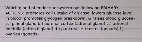 Which gland of <a href='https://www.questionai.com/knowledge/k97r8ZsIZg-endocrine-system' class='anchor-knowledge'>endocrine system</a> has following PRIMARY ACTIONS: promotes cell uptake of glucose, lowers glucose level in blood, promotes glycogen breakdown, & raises blood glucose? a.) pineal gland b.) adrenal cortex (adrenal gland) c.) adrenal medulla (adrenal gland) d.) pancreas e.) testes (gonads) f.) ovaries (gonads)