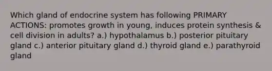 Which gland of <a href='https://www.questionai.com/knowledge/k97r8ZsIZg-endocrine-system' class='anchor-knowledge'>endocrine system</a> has following PRIMARY ACTIONS: promotes growth in young, induces <a href='https://www.questionai.com/knowledge/kVyphSdCnD-protein-synthesis' class='anchor-knowledge'>protein synthesis</a> & <a href='https://www.questionai.com/knowledge/kjHVAH8Me4-cell-division' class='anchor-knowledge'>cell division</a> in adults? a.) hypothalamus b.) posterior pituitary gland c.) anterior pituitary gland d.) thyroid gland e.) parathyroid gland