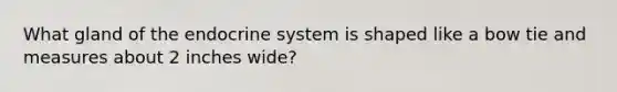 What gland of the <a href='https://www.questionai.com/knowledge/k97r8ZsIZg-endocrine-system' class='anchor-knowledge'>endocrine system</a> is shaped like a bow tie and measures about 2 inches wide?