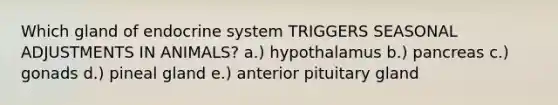 Which gland of endocrine system TRIGGERS SEASONAL ADJUSTMENTS IN ANIMALS? a.) hypothalamus b.) pancreas c.) gonads d.) pineal gland e.) anterior pituitary gland