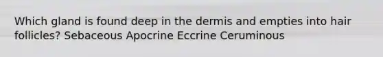 Which gland is found deep in the dermis and empties into hair follicles? Sebaceous Apocrine Eccrine Ceruminous