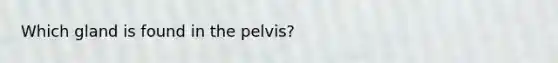 Which gland is found in the pelvis?