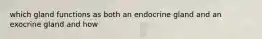 which gland functions as both an endocrine gland and an exocrine gland and how