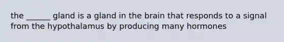 the ______ gland is a gland in <a href='https://www.questionai.com/knowledge/kLMtJeqKp6-the-brain' class='anchor-knowledge'>the brain</a> that responds to a signal from the hypothalamus by producing many hormones