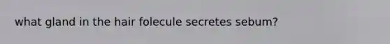 what gland in the hair folecule secretes sebum?