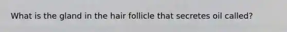 What is the gland in the hair follicle that secretes oil called?