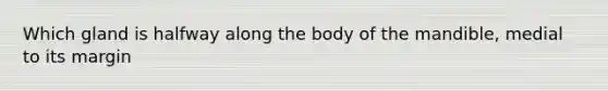 Which gland is halfway along the body of the mandible, medial to its margin