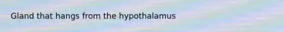 Gland that hangs from the hypothalamus