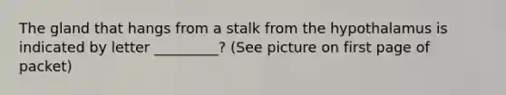 The gland that hangs from a stalk from the hypothalamus is indicated by letter _________? (See picture on first page of packet)