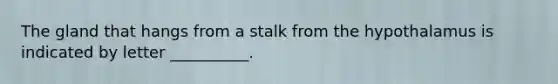 The gland that hangs from a stalk from the hypothalamus is indicated by letter __________.