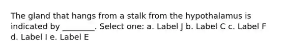 The gland that hangs from a stalk from the hypothalamus is indicated by ________. Select one: a. Label J b. Label C c. Label F d. Label I e. Label E