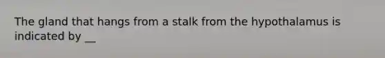The gland that hangs from a stalk from the hypothalamus is indicated by __