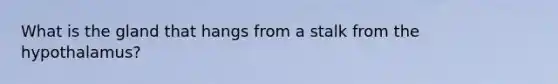 What is the gland that hangs from a stalk from the hypothalamus?